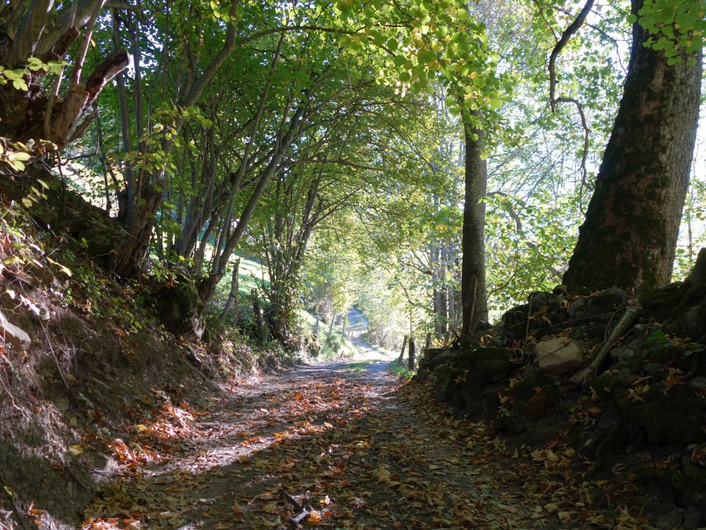 Via Alpina