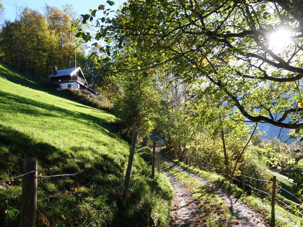 Via Alpina