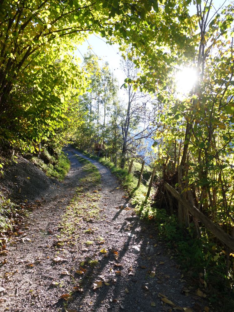Via Alpina