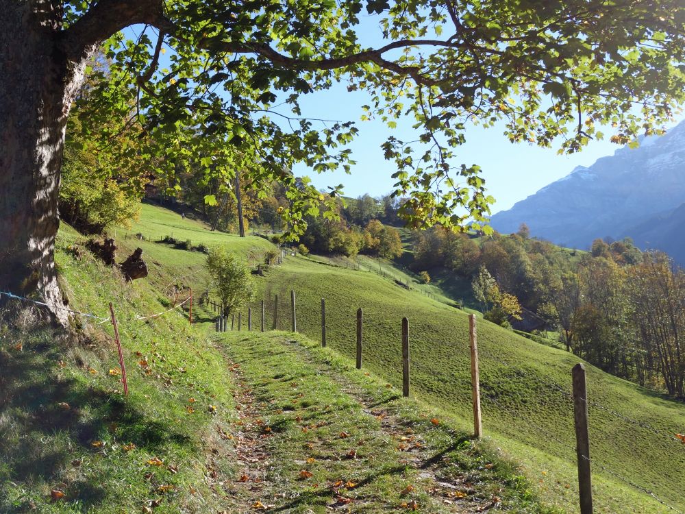 Via Alpina