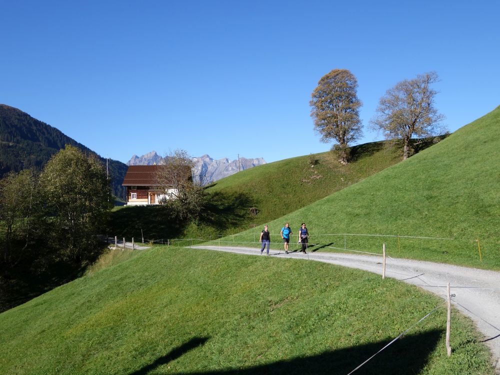 Via Alpina