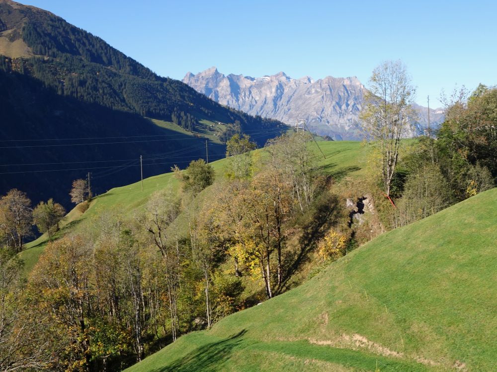 Blick Richtung Uri Rotstock