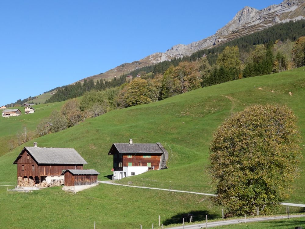 Bauernhof