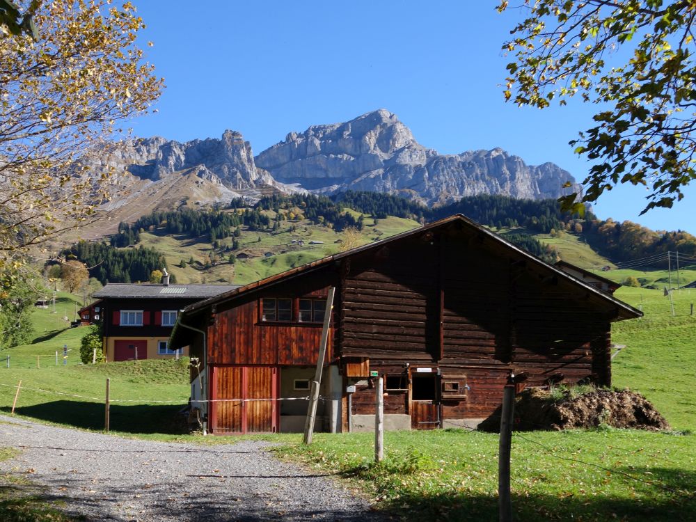 Bauernhof