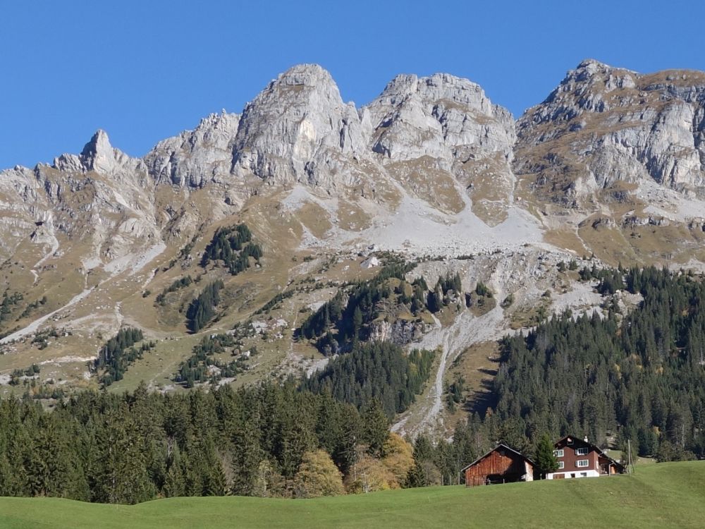 Höch Pfaffen