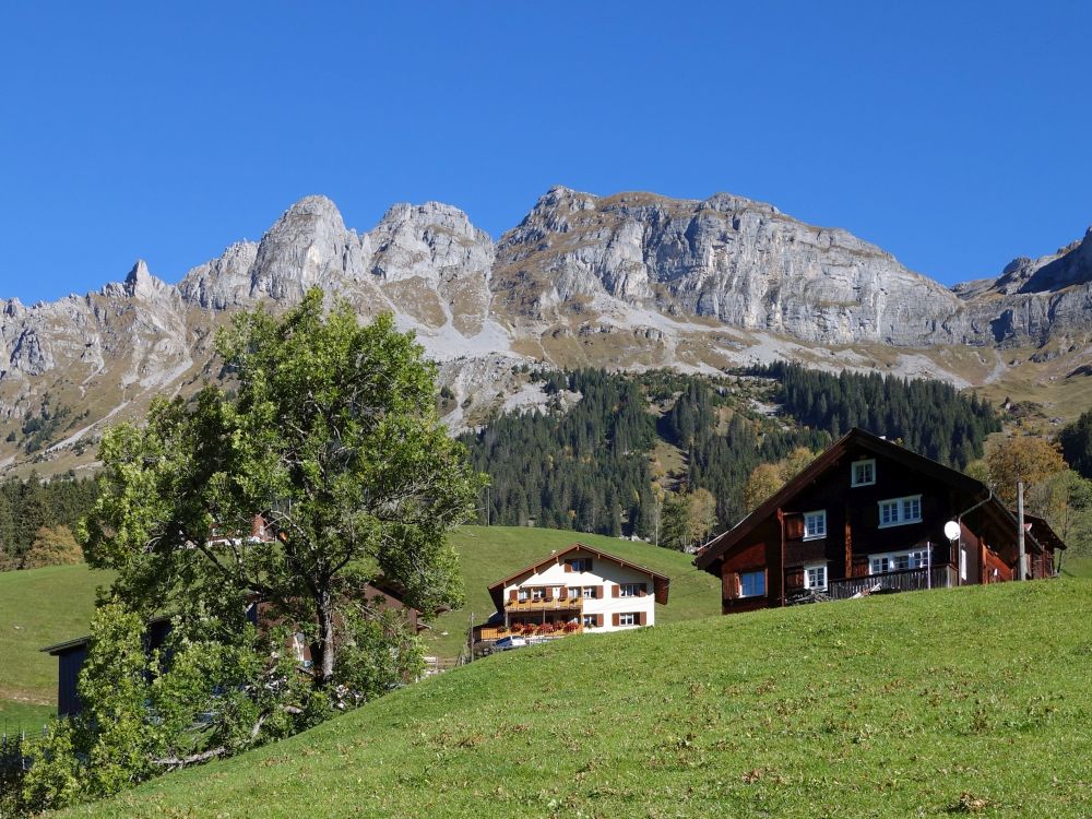 Höch Pfaffen