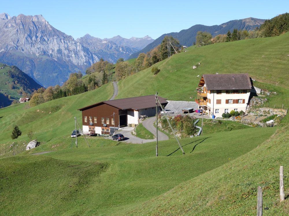 Bauernhof