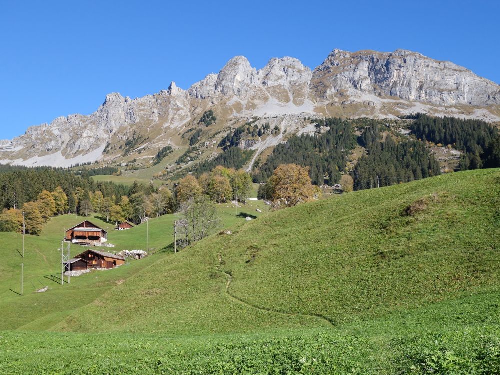 Höch Pfaffen