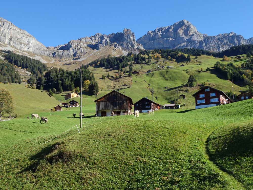 Bauernhöfe