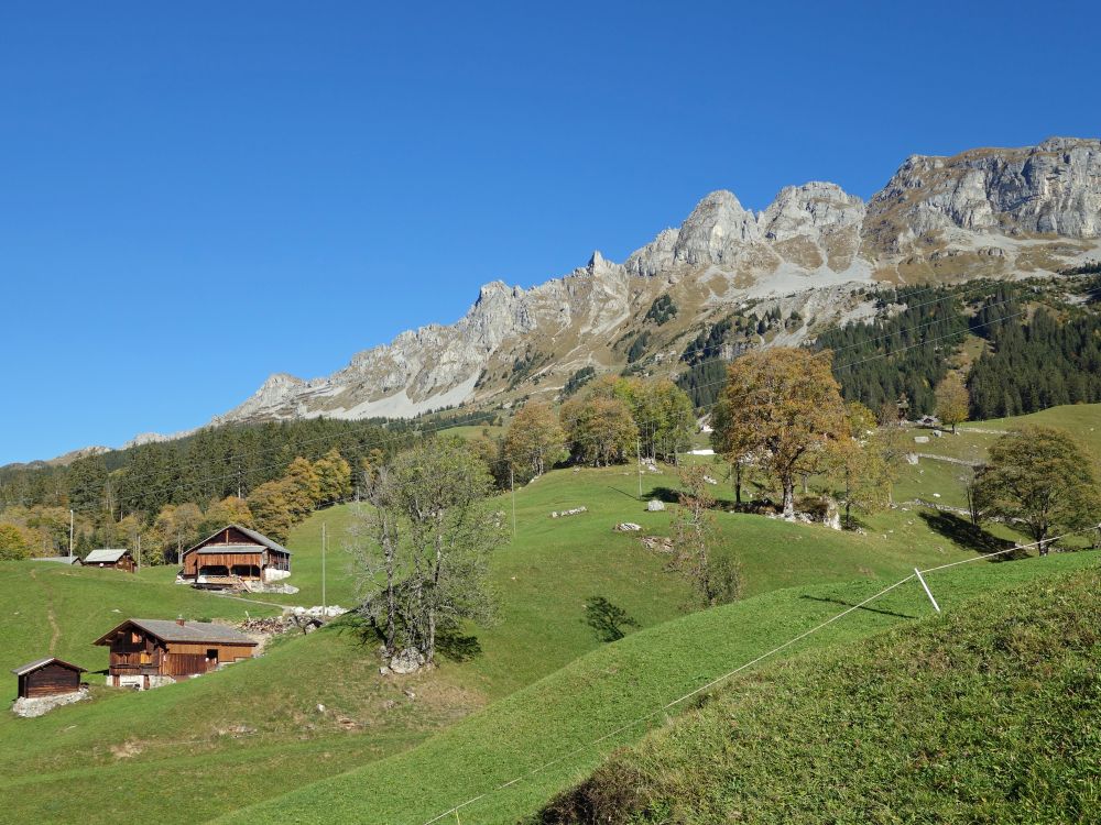 Bauernhöfe
