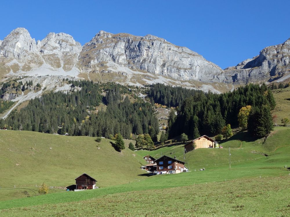 Höch Pfaffen