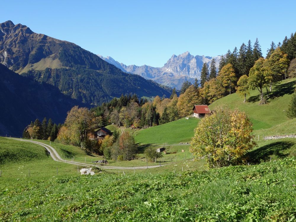 Blachenstock und Brunnistock