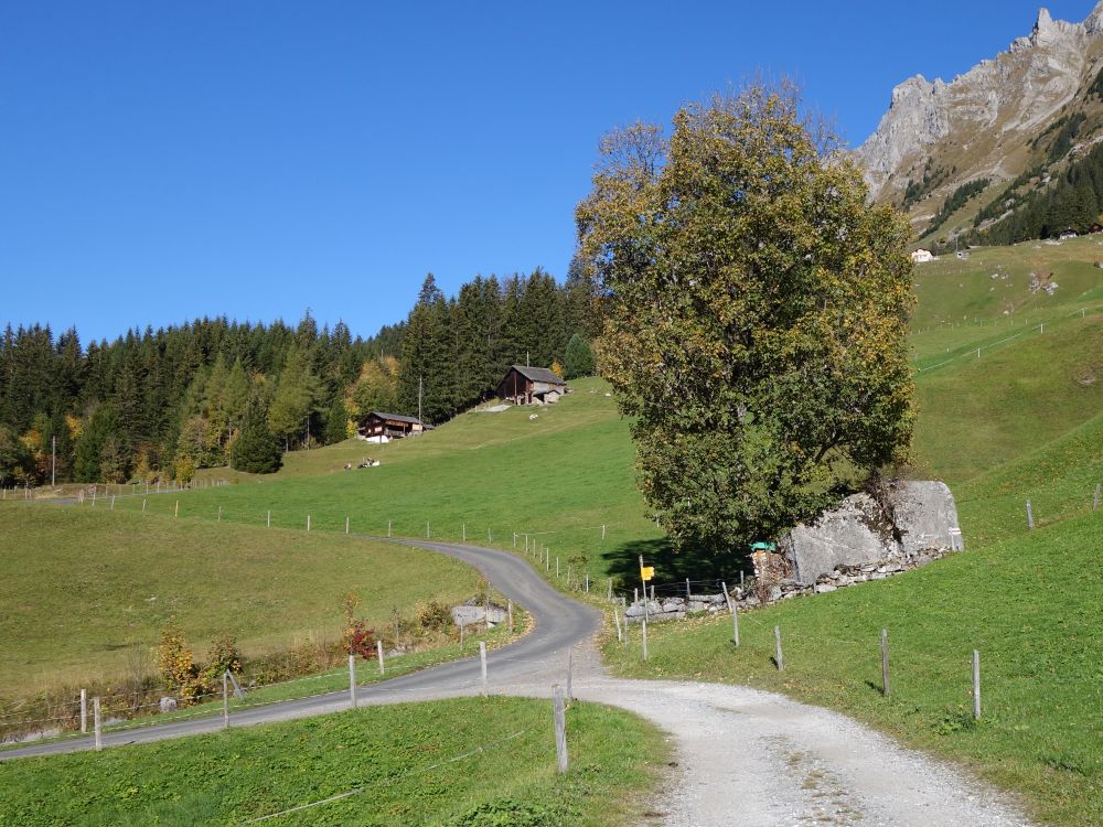 Wege bei Egg