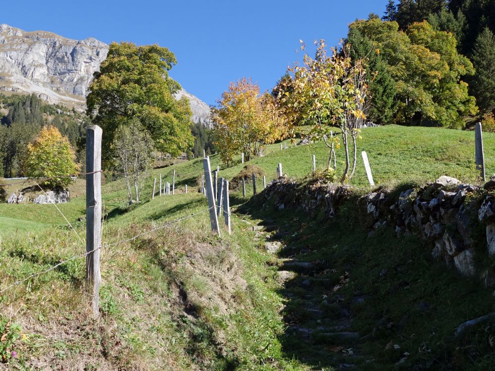 Bergweg