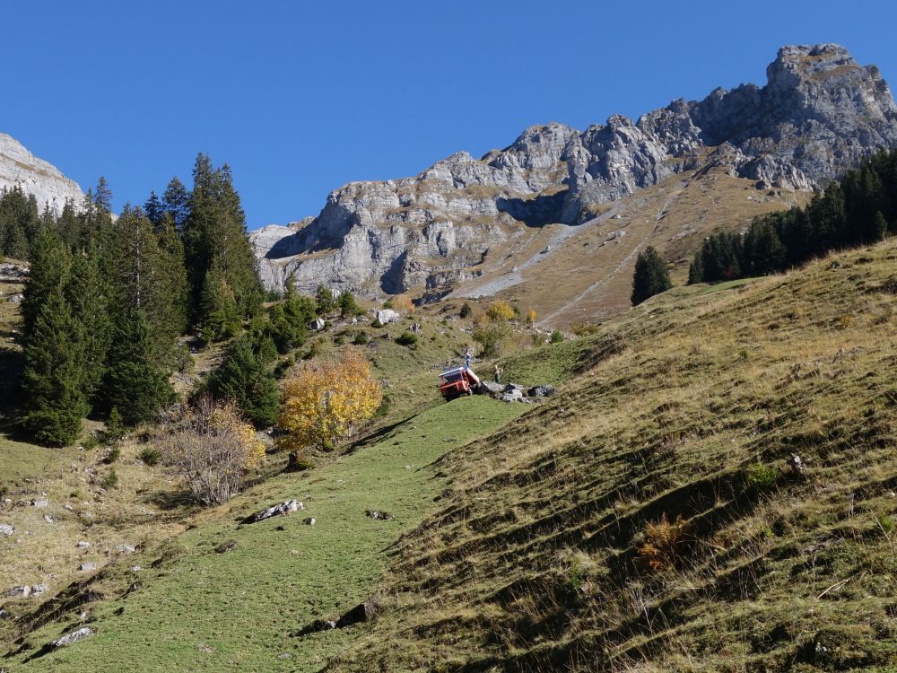 Heger Boden