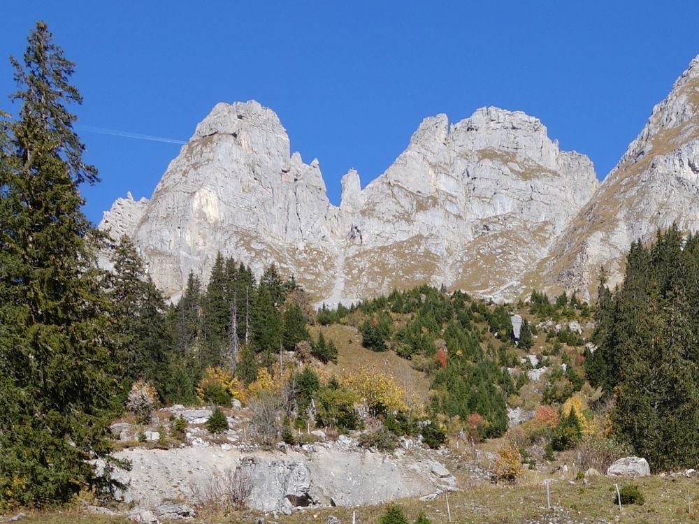 Bergspitzen