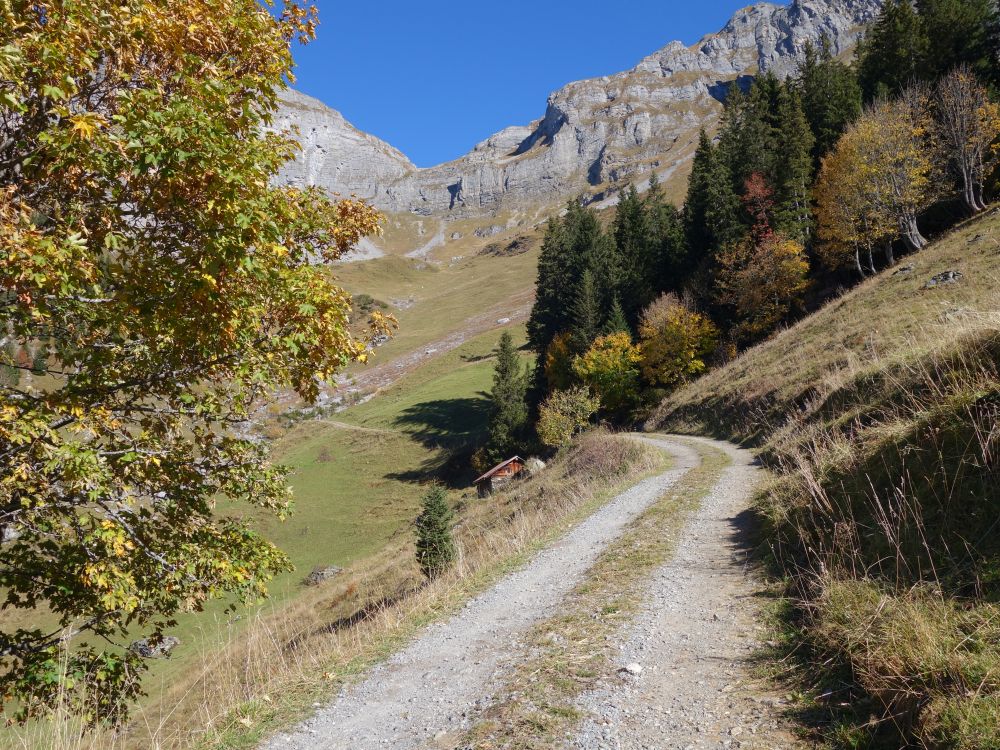 Wirtschaftsweg