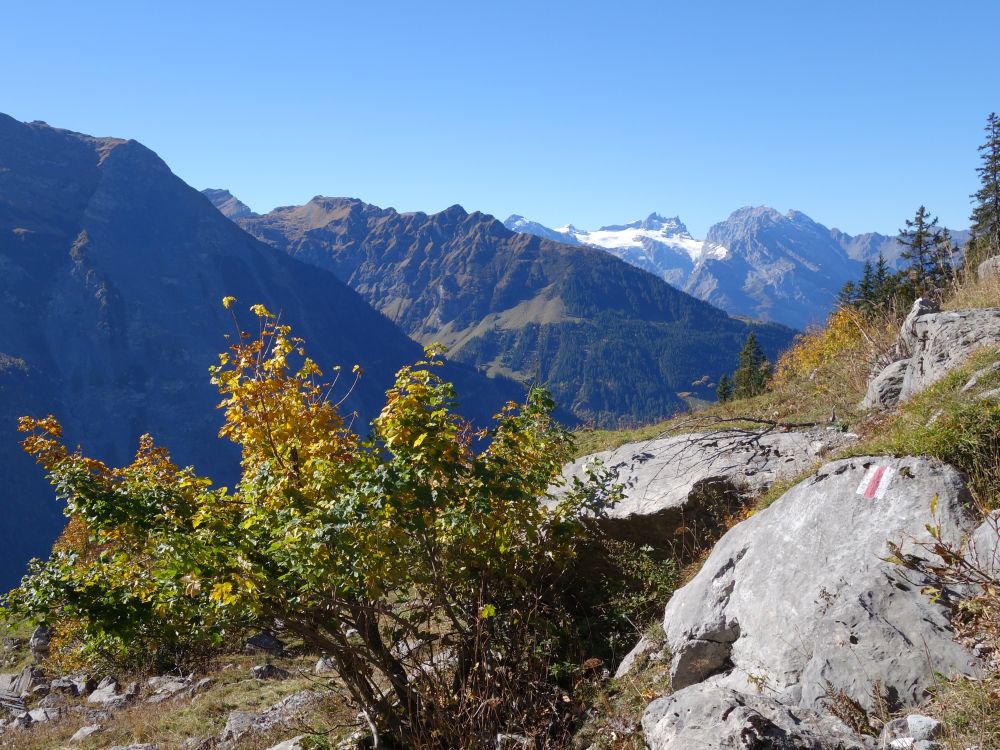 Blick Richtung Gross Spannort
