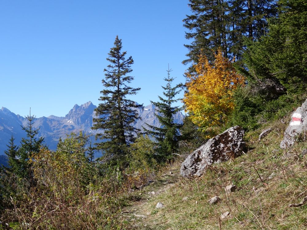 Blick Richtung Surenenpass