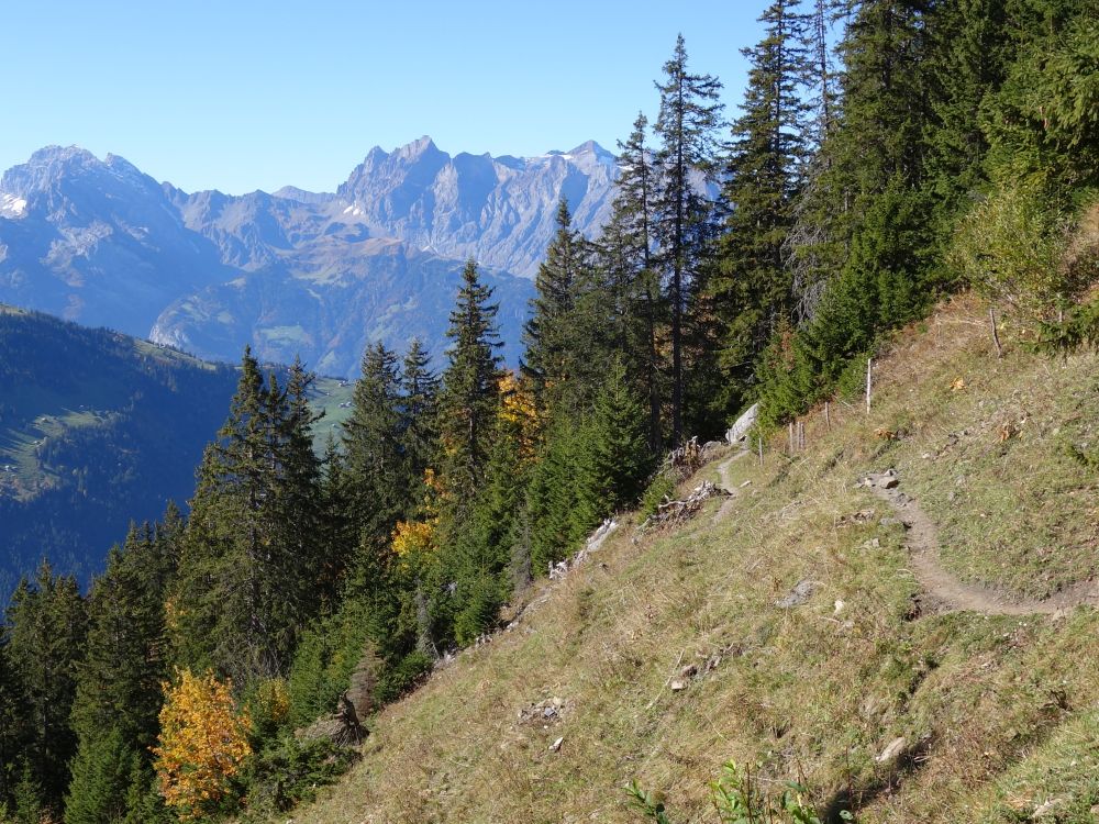 Surenenpass und Brunnistock