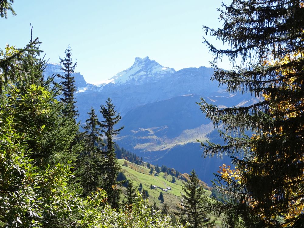 Gross und Chli Schärhorn
