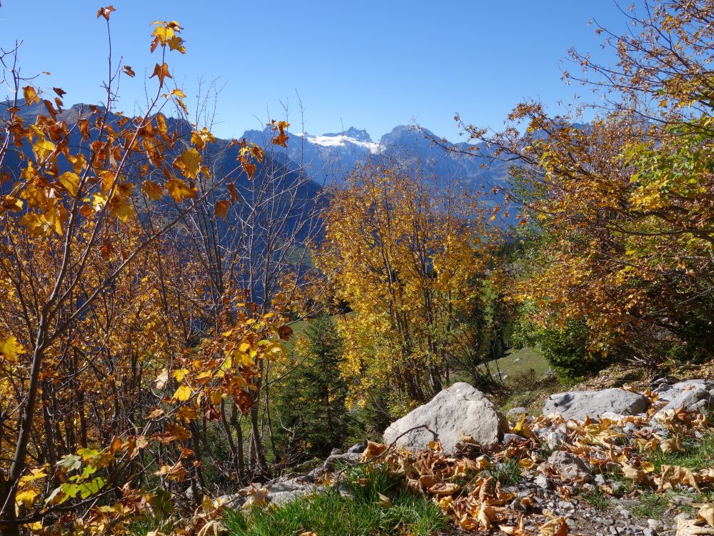 Herbstfarben