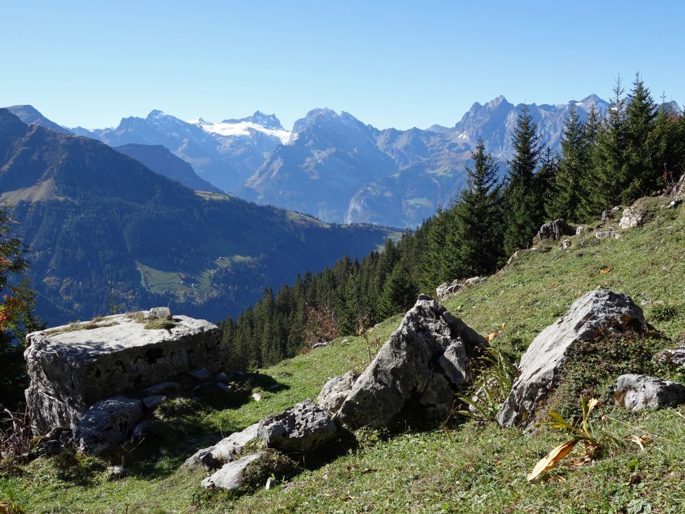 Blick Richtung Surenenpass