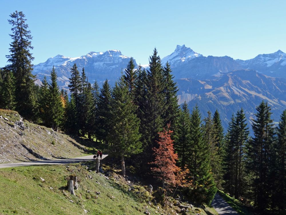 Chammliberg und Schärhörner