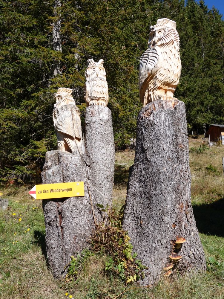 geschnitzte Eulen