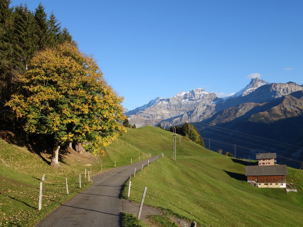 Chammliberg und Schärhörner