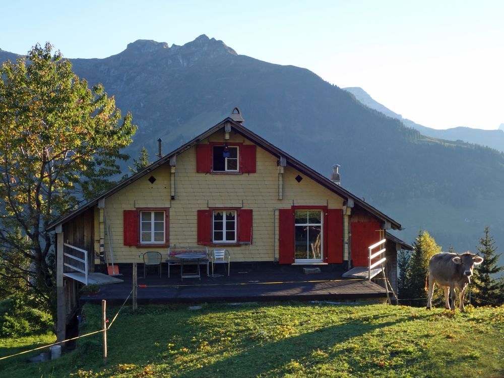 Bauernhaus mit Kuh