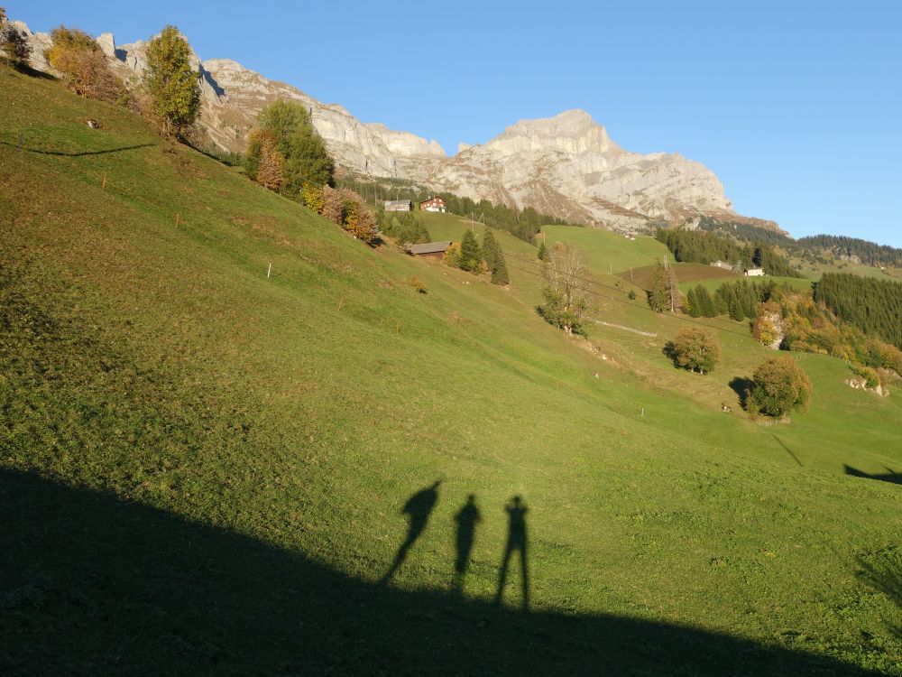 Schattenwanderer