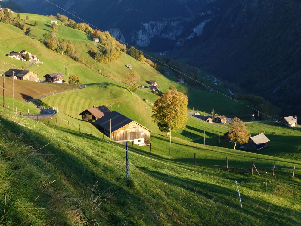 Abendsonne