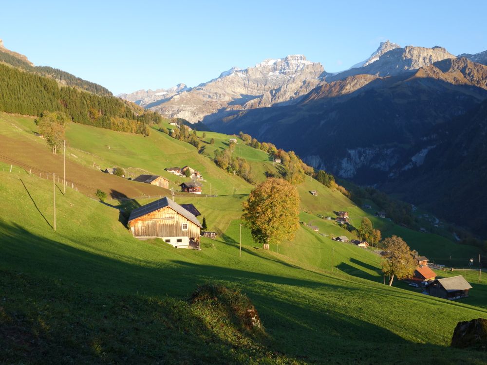 Abendsonne