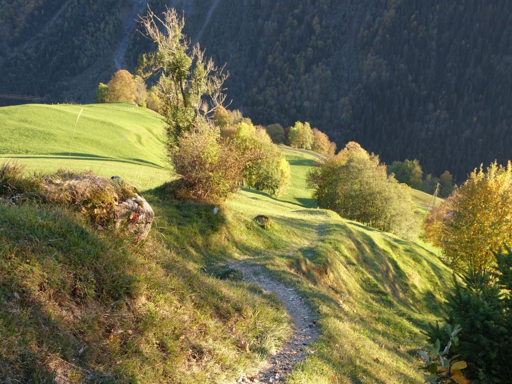 Bergpfad