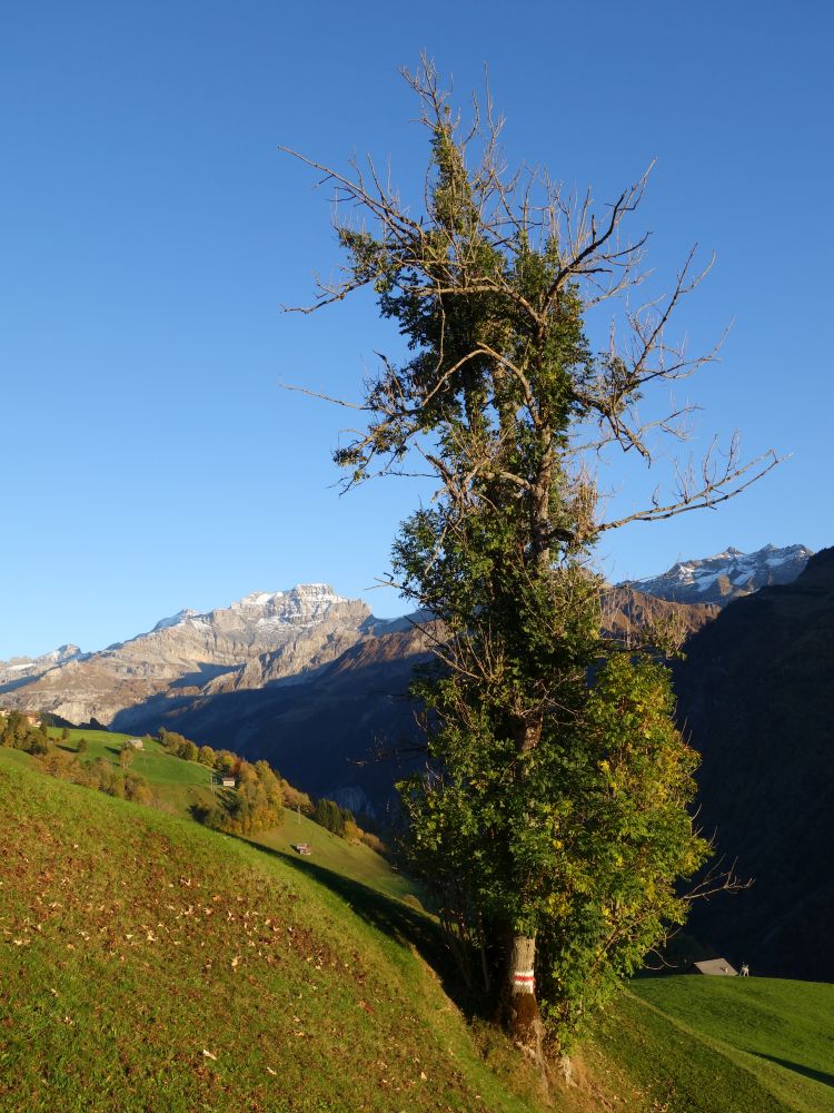 Chammliberg