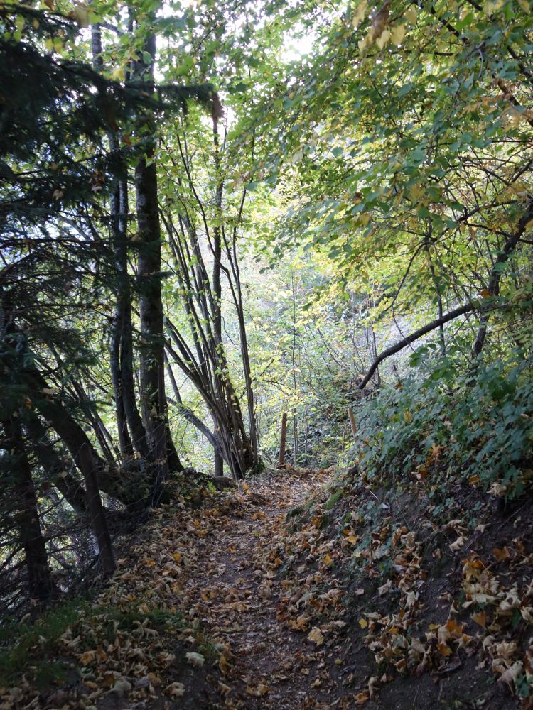 Bergweg