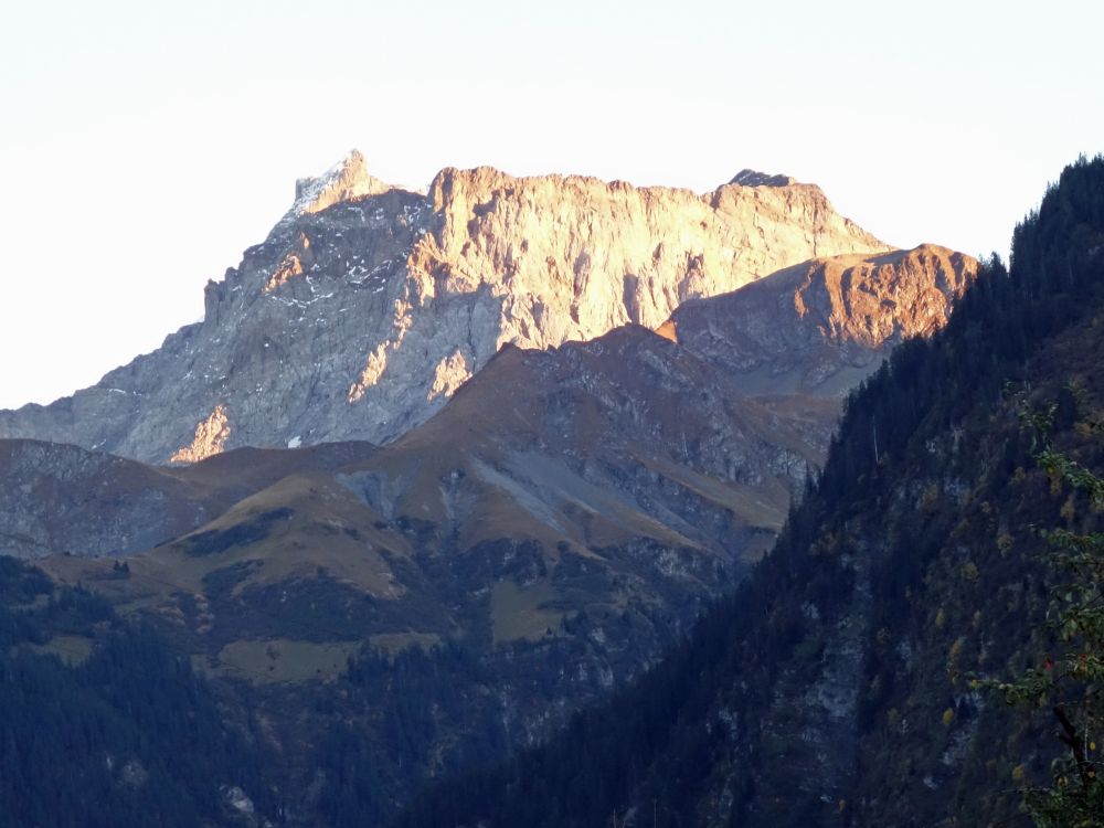 Griessstock im Abendlicht