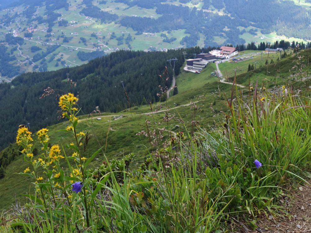 Kapell-Alpe