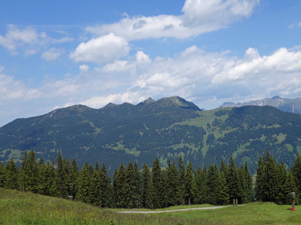 Itonskopf