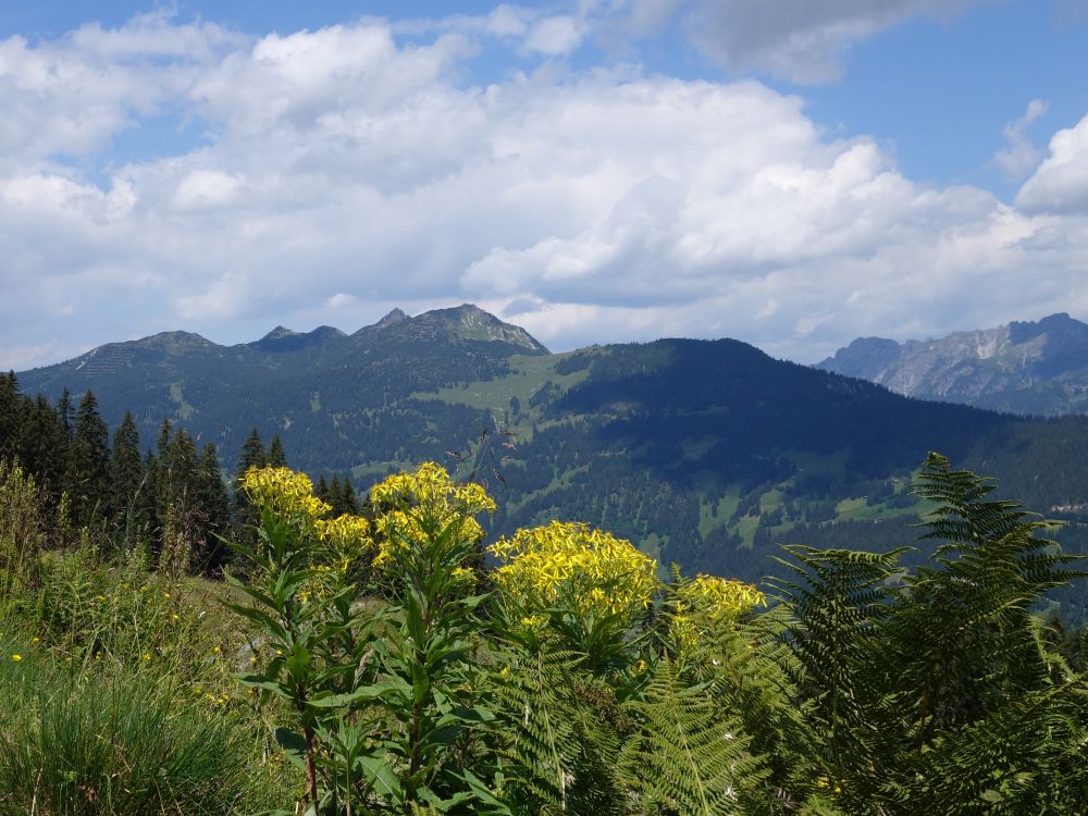 Itonskopf