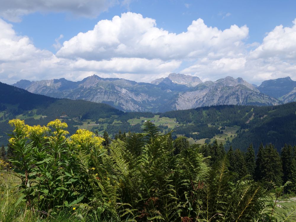 Blick Richtung Rote Wand