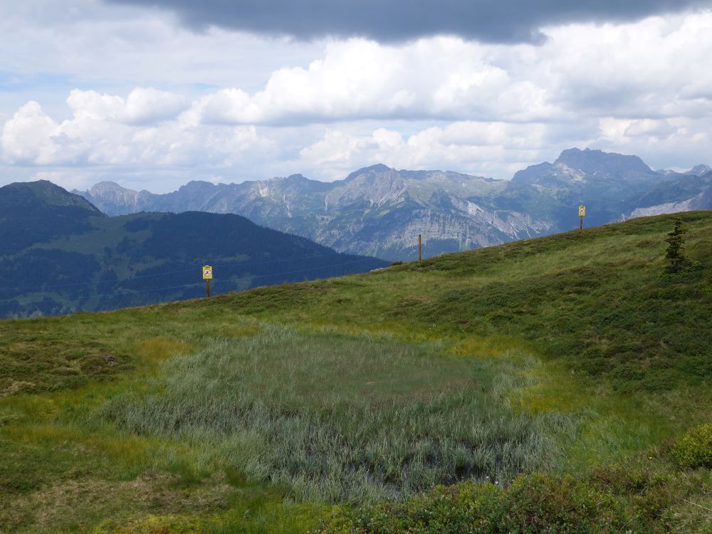 trockener Tümpel und Rote Wand