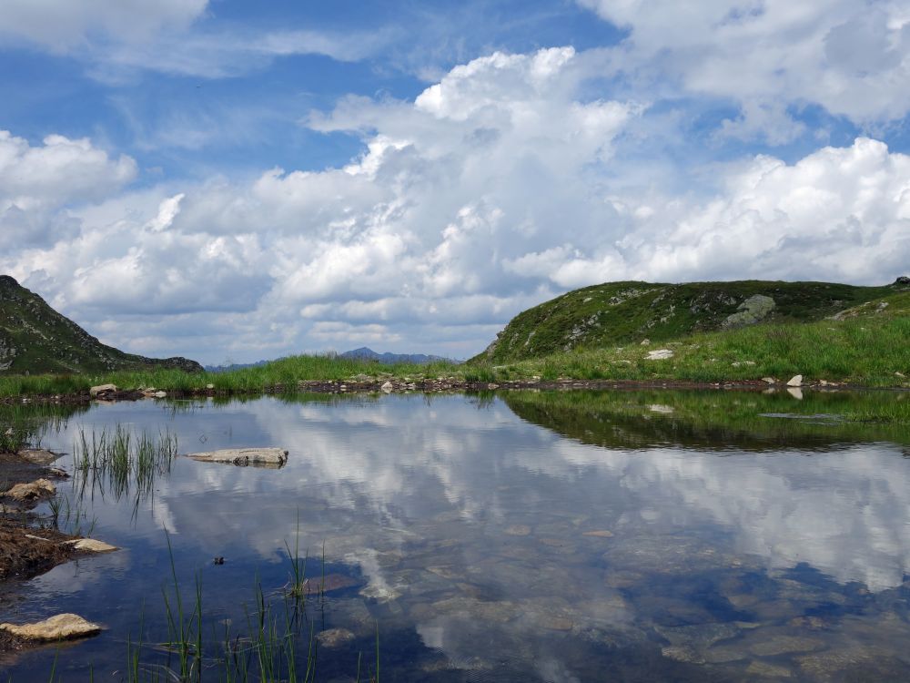 Spiegelungen im See