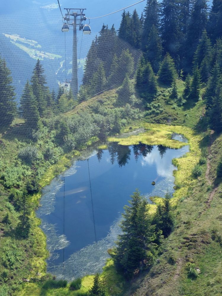 Tümpel unter der Grasjoch Bahn