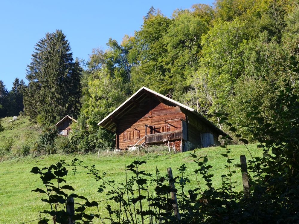 Hütte