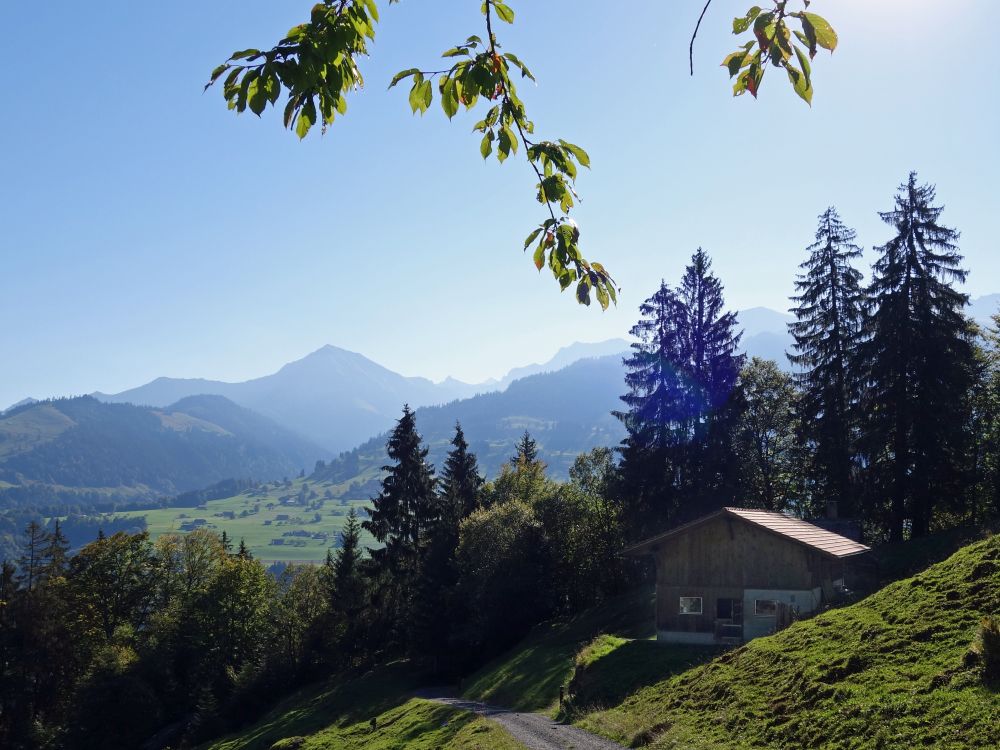 Blick zum Morgenberghorn