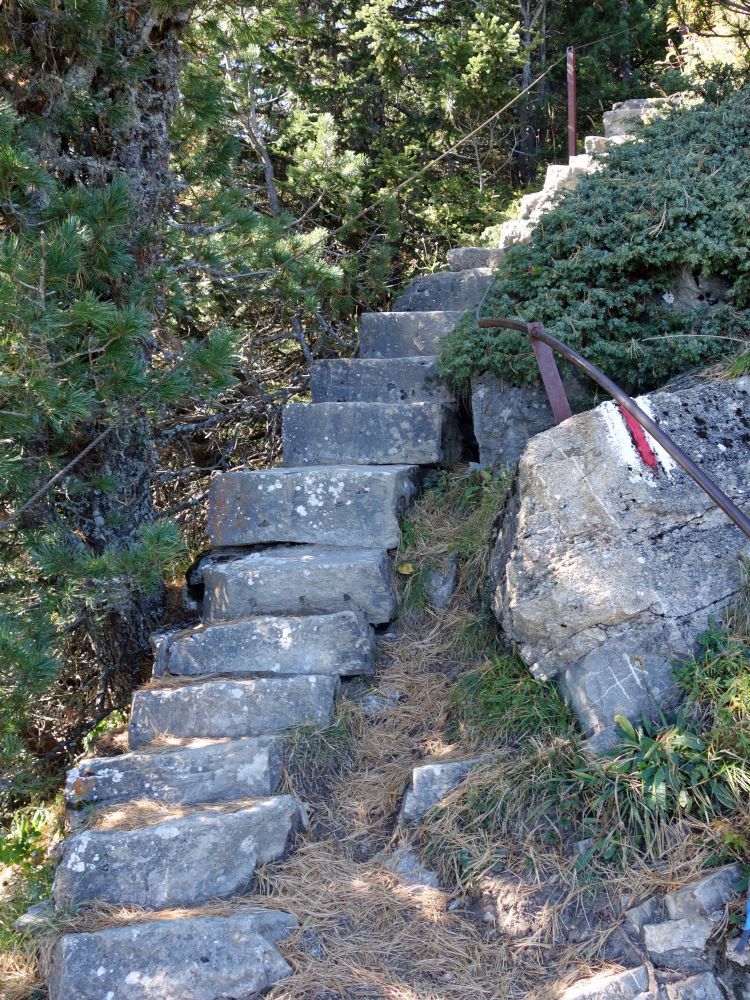 Treppe nahe Niesenbahn