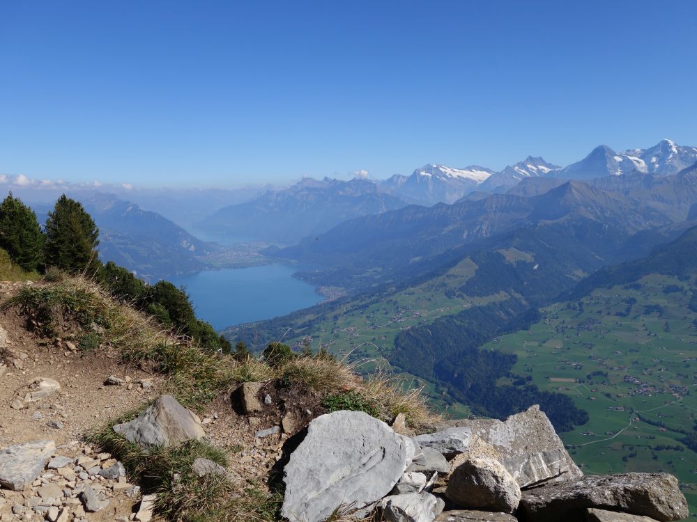 Blick zum Thunersee