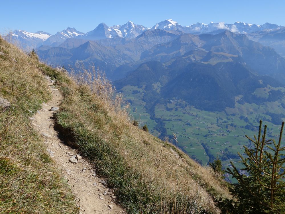 Eiger, Mönch, Jungfrau u.a.